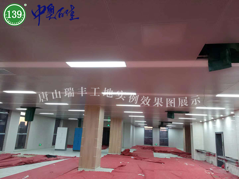 唐山瑞豐工地實(shí)例效果圖展示